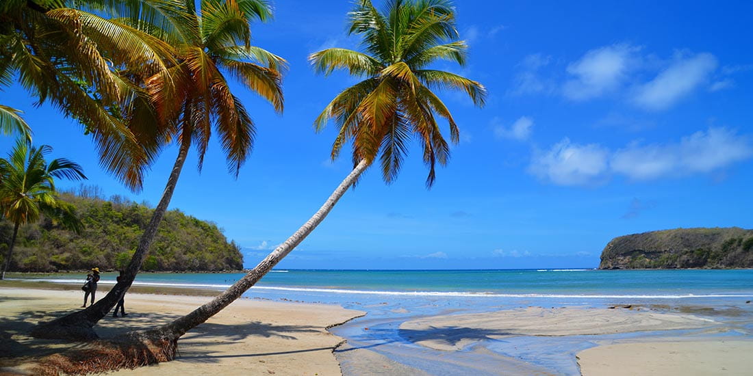 Untouched tropical beach in Grenada, Caribbean